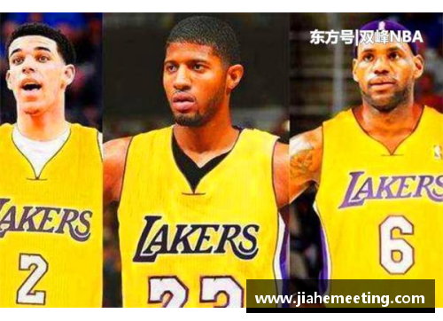 16年湖人只赢了17场，科比场均17+4，水拉、兰德尔什么表现？ - 副本 (2)